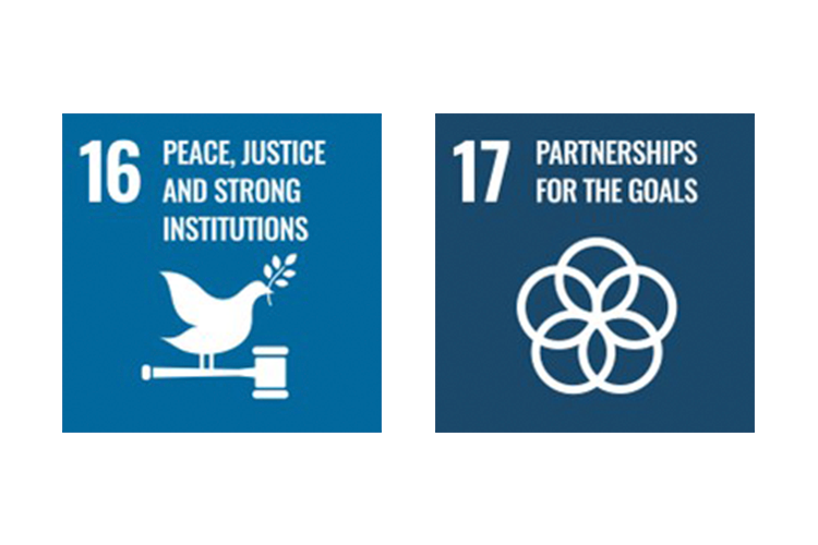 UN SDG logos - community and social value